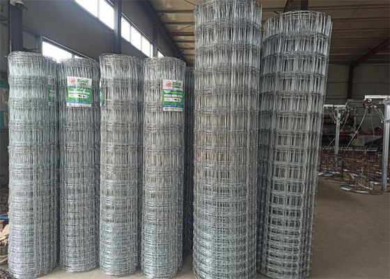 500m PVC Coated Roll Tough / Fixed Knot Field Fence With Square Holes